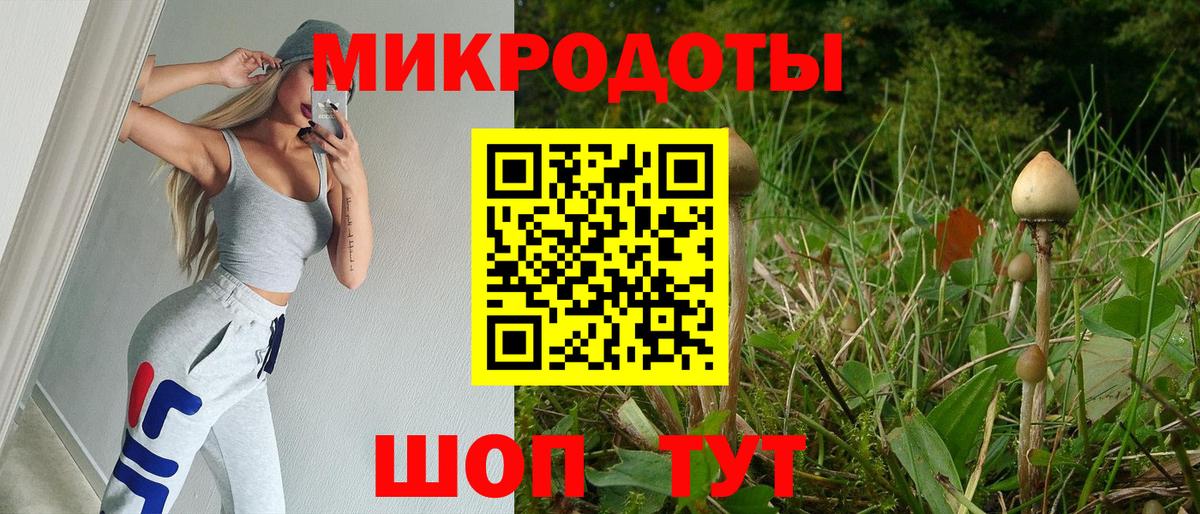 Псилоцибиновые грибы Psilocybe Гулькевичи